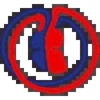Jacksoft MDS