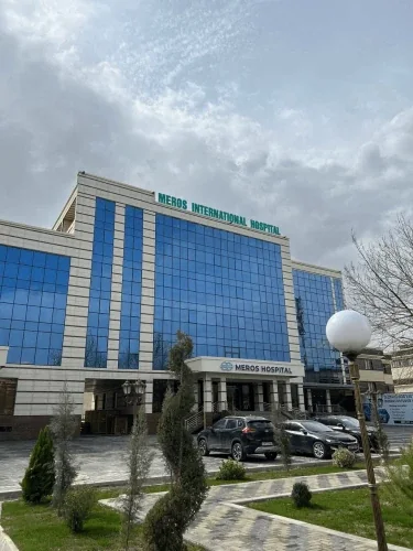 Meros International Hospital